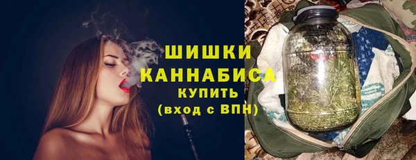 PSILOCYBIN Волосово